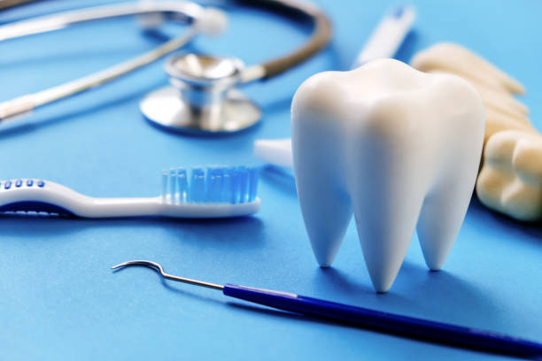 Best Dental Exams and Cleanings  in Bronson, FL